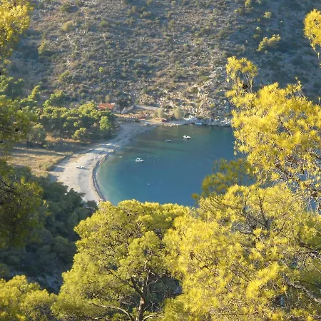 Villa The Sea View Privately *